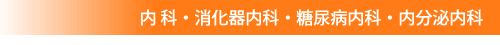 内 科,消化器内科,糖尿病内科,内分泌内科